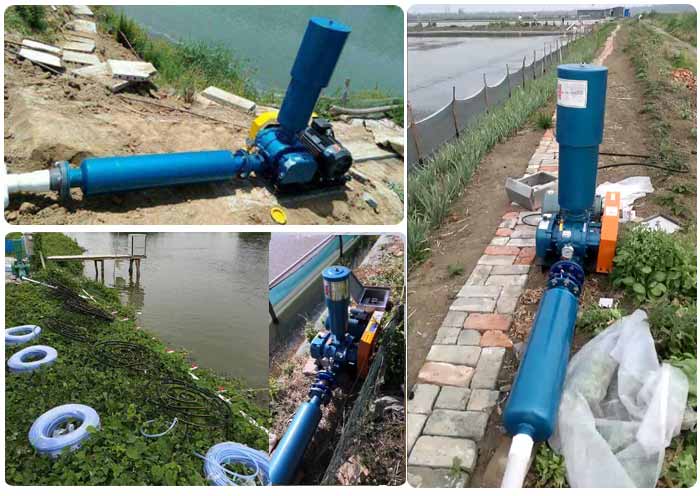罗茨鼓风机在水产养殖行业的应用：罗茨增氧机